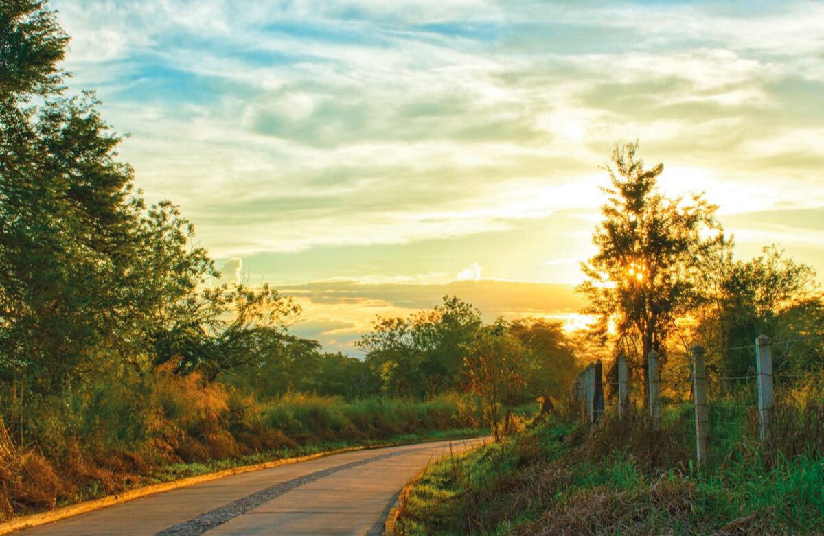 Paisajes como este se pueden ver todos los días en el municipio de Planeta Rica. El 25 por ciento de sus suelos han sido catalogados de alta fertilidad por estar anclados en el Valle del San Jorge. Además, lo bañan múltiples corrientes de agua, entre ellas el río Sinú y los pozos profundos de Pital. Quienes lo visiten podrán recoger los pasos del rey vallenato Alejo Durán, quien pasó sus últimos años en el municipio.