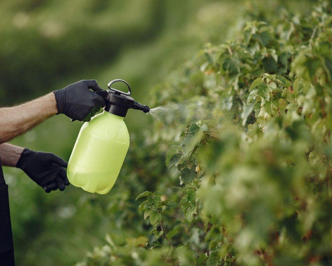 La Secretaría de Ambiente lanzó campaña para proteger a la fauna y flora de Bogotá ante un uso inadecuado de plaguicidas.
