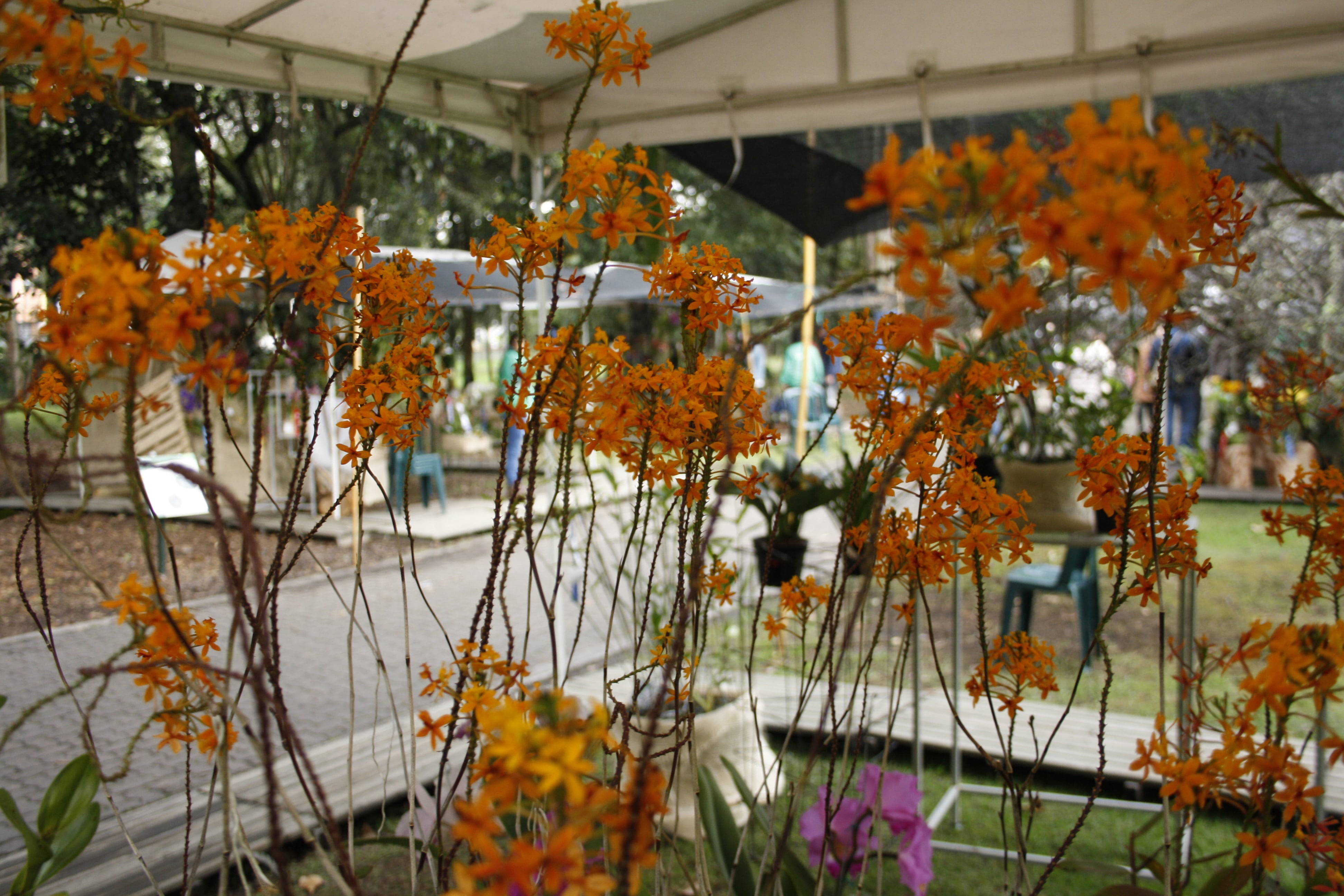 Hay diferentes actividades para hacer durante la exposición.