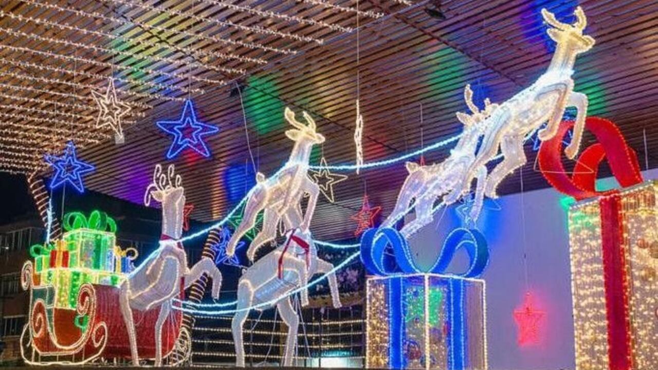 Los recorridos están diseñados para que los residentes y visitantes de los municipios disfruten de iluminación navideña, shows musicales y novenas.