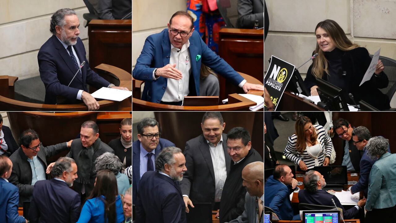 Plenaria de Senado, consulta popular.