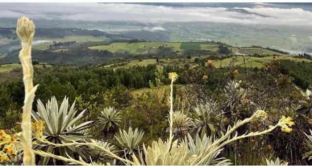 Páramo de Guática, un atractivo turístico excepcional para practicar senderismo: ¿dónde queda y cuál es su nivel de dificultad?