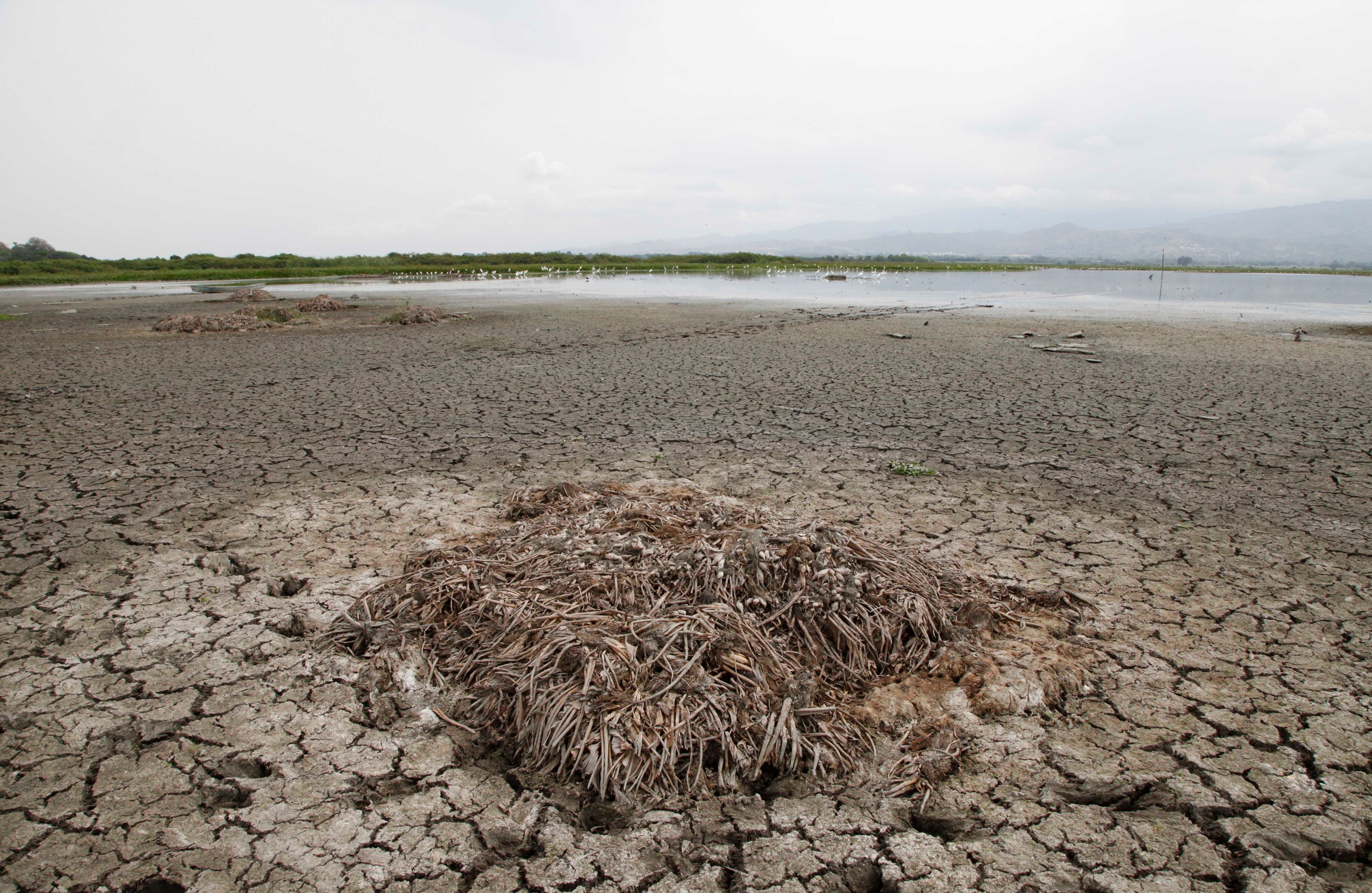 Laguna Sonso / Foto: Luis Ángel Murcia