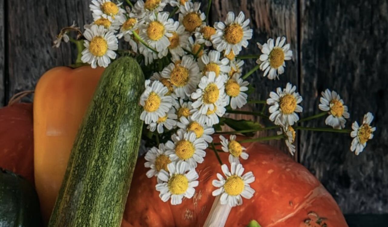 La manzanilla y el pepino son unos aliados para que la hinchazón en los párpados se pueda aliviar