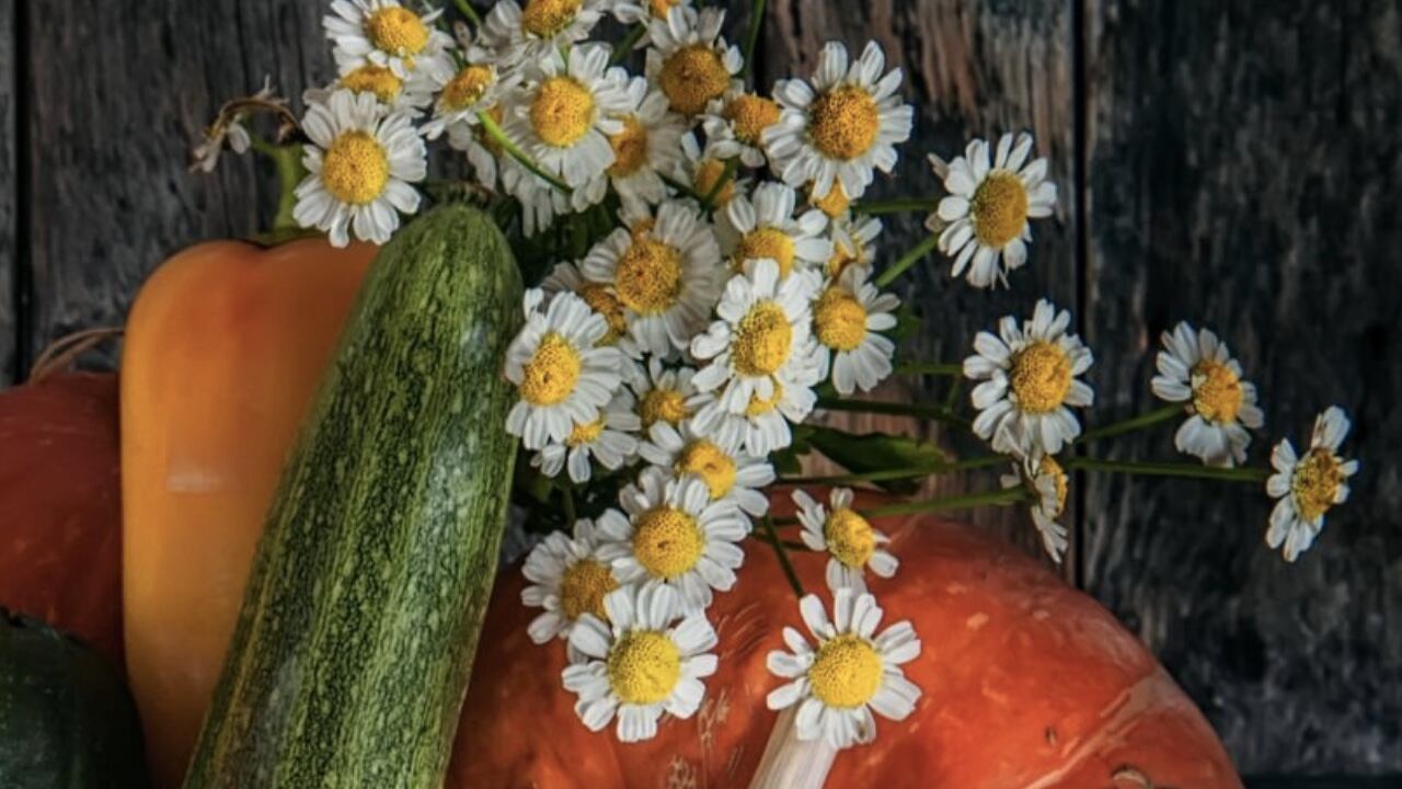 La manzanilla y el pepino son unos aliados para que la hinchazón en los párpados se pueda aliviar