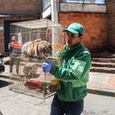 Ave rescatada San Cristóbal