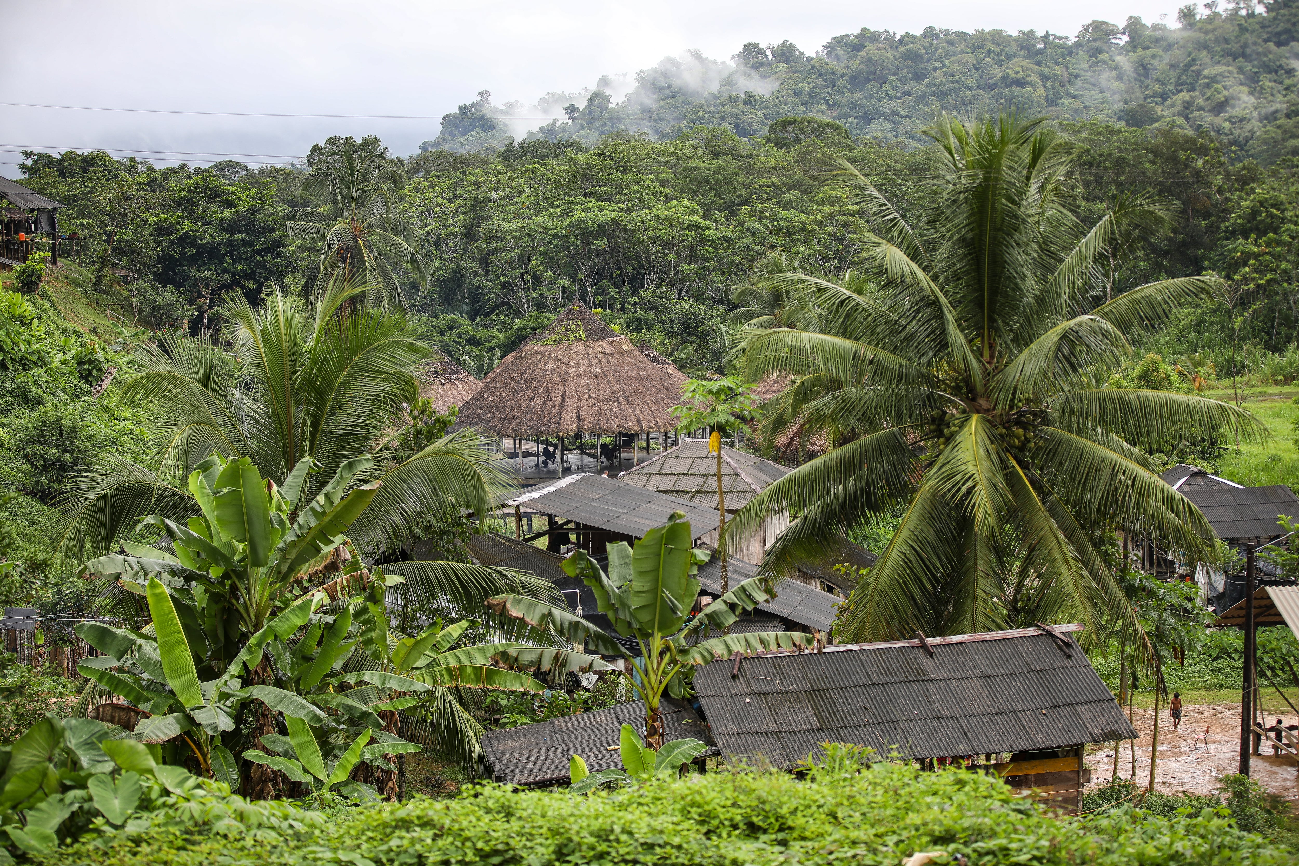 Todo el que visite Kipara Té vivirá una experiencia gastronómica inolvidable: pescado asado con plátano cocido, chicha de arroz, torta de maíz, frijoles y arepas.