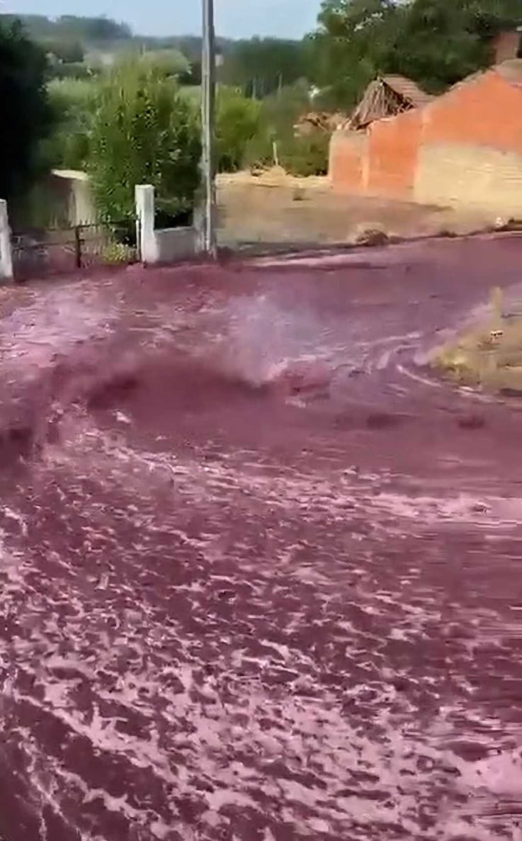 Río de vino Portugal. Foto: Captura de pantalla Youtube @sentinelasentinelamundial.