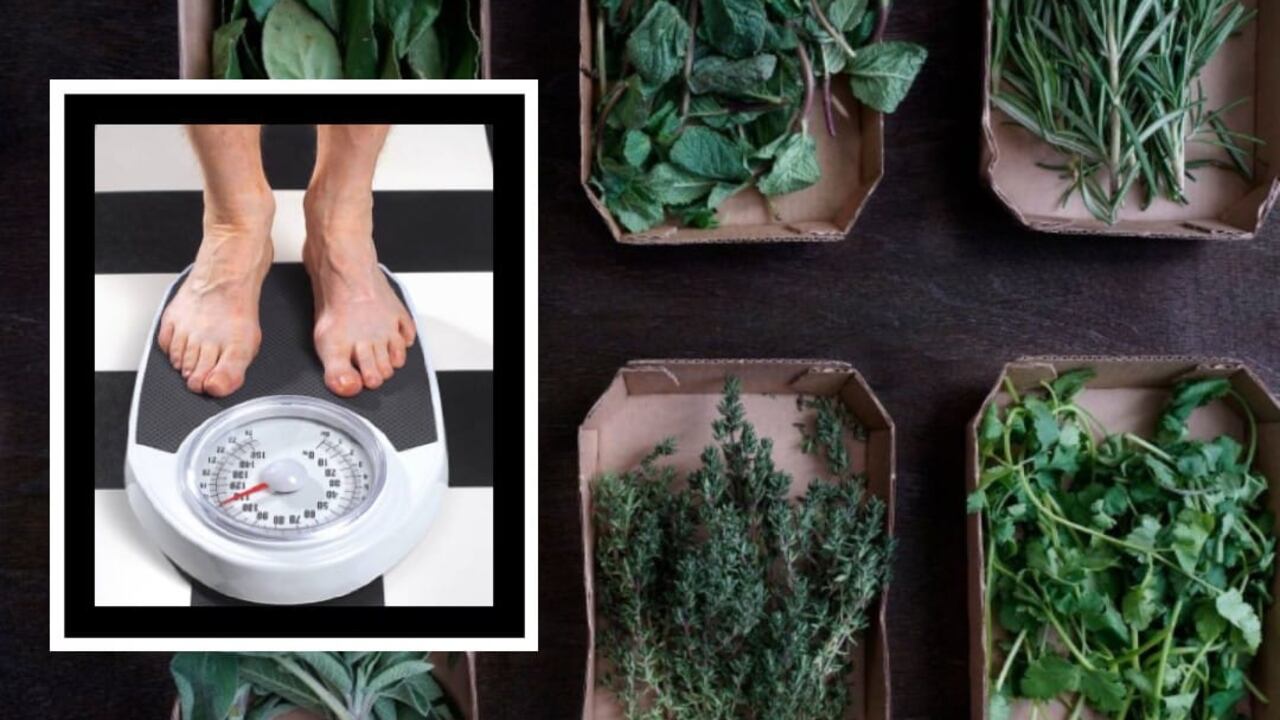 El orégano es una hierba que calma la pesadez y depura los desechos del estómago.