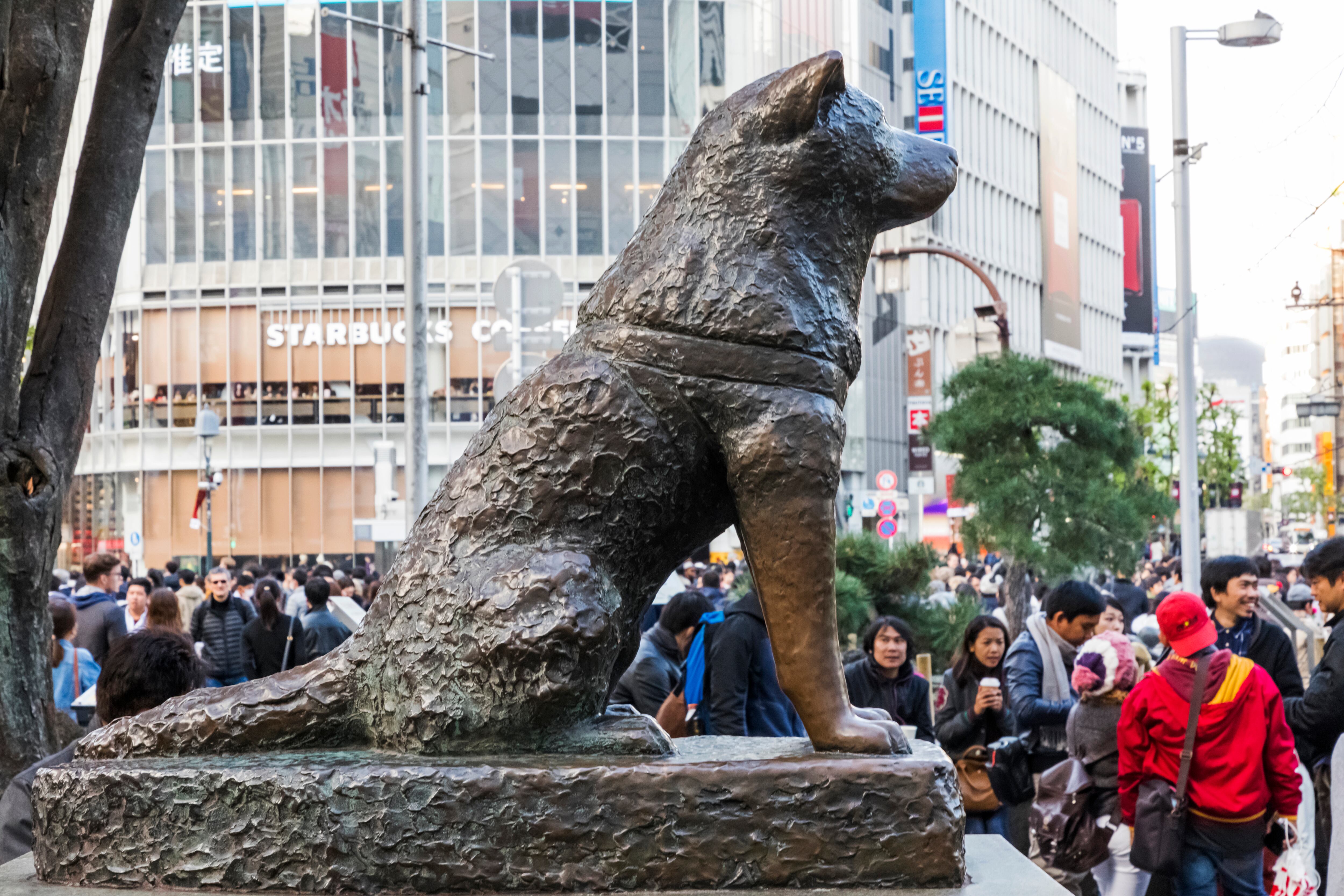 Japan, Honshu, Tokyo, Shibuya, Hachiko Statue