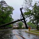 Varios árboles se han caído producto del fuerte vendaval afectando los servicios de energía.