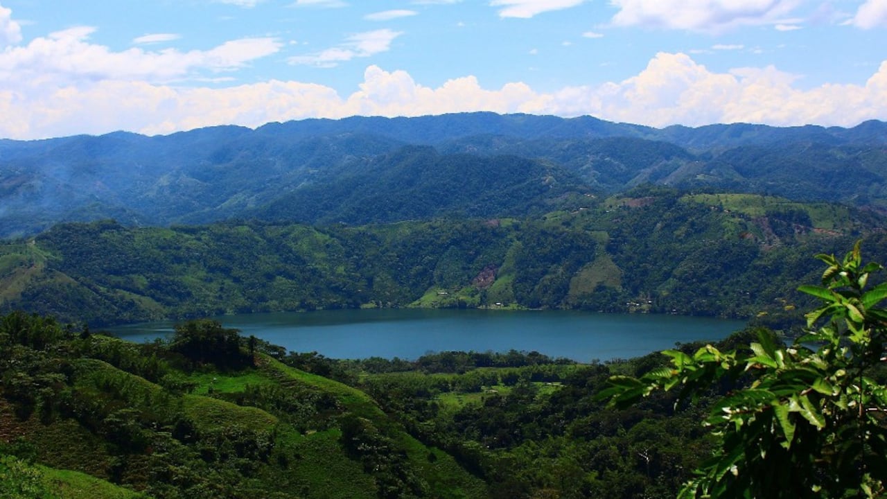 ¿Cuál es tu promesa climática?