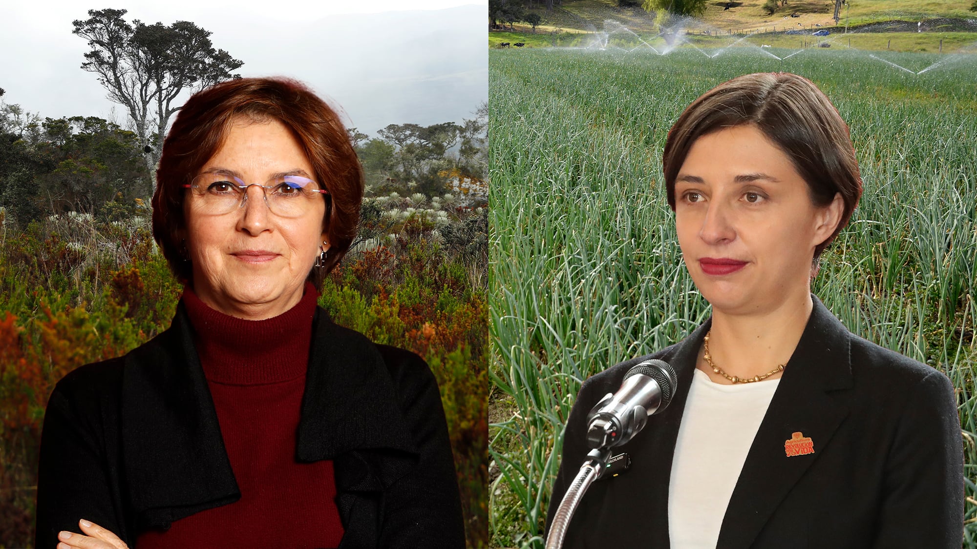 Julia Miranda Martha Carvajalino