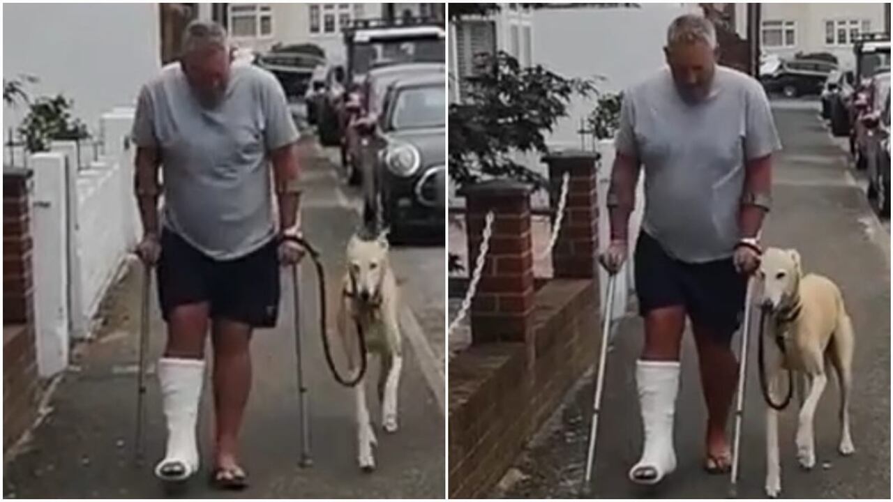 La curiosa escena generó un sentimiento enternecedor en redes sociales.