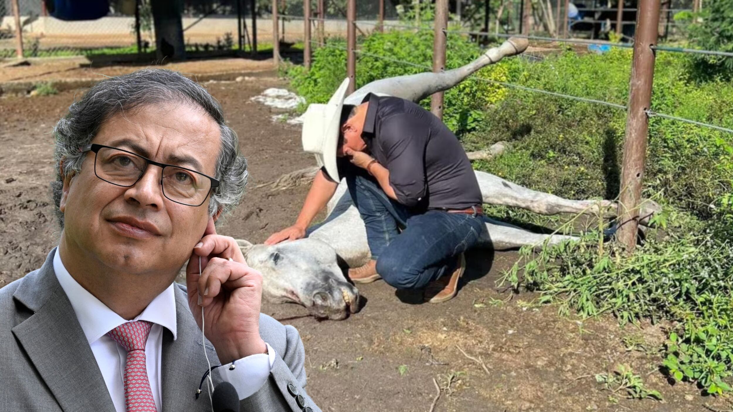 Polémica en redes: Gustavo Petro se burla del caballo fallecido del senador Alirio Barrera.