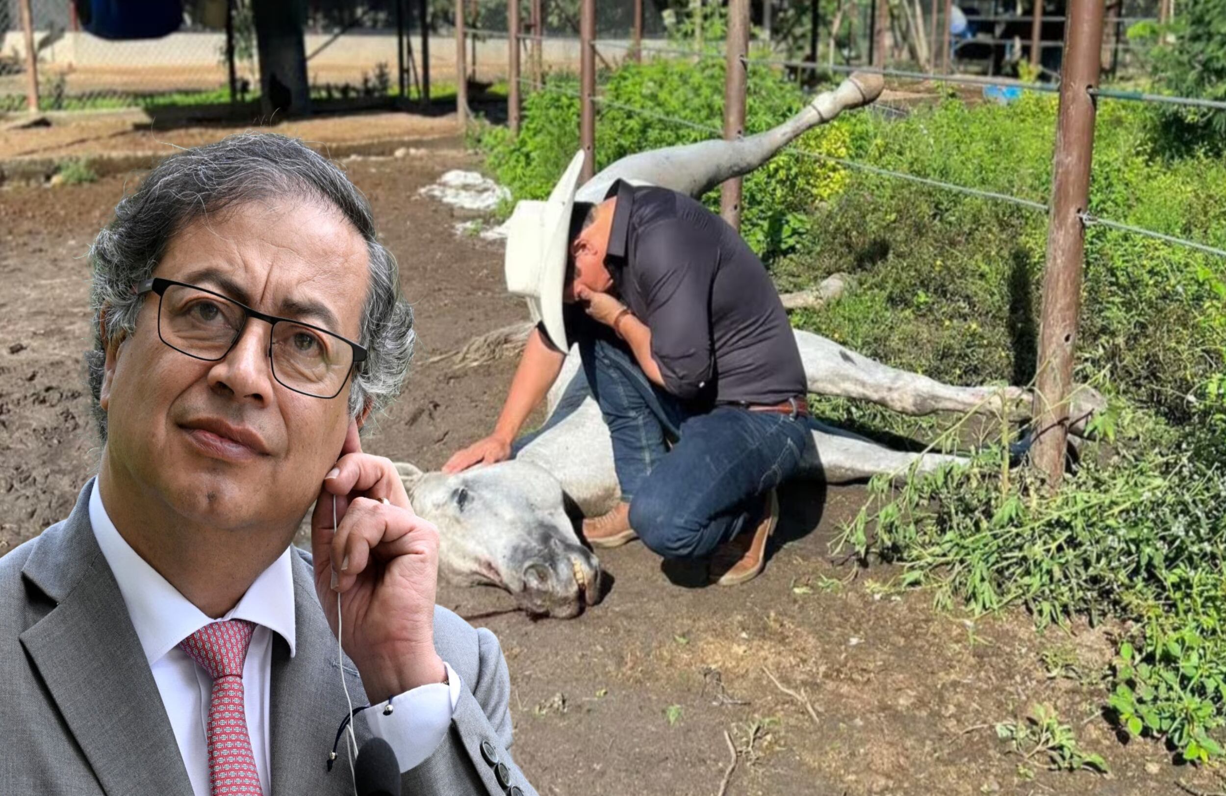 Polémica en redes: Gustavo Petro se burla del caballo fallecido del senador Alirio Barrera.