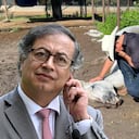 Polémica en redes: Gustavo Petro se burla del caballo fallecido del senador Alirio Barrera.