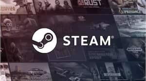 Steam ya permite marcar videojuegos como privados para ocultárselos a otros usuarios