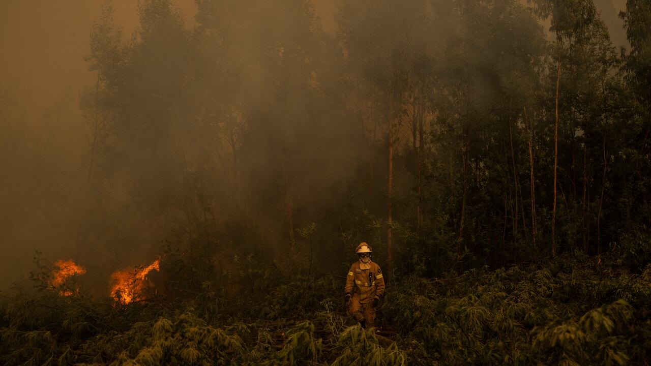 Incendios forestales en Portugal.