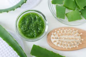 La sábila o aloe vera tiene nutrientes que favorecen la salud del cabello.