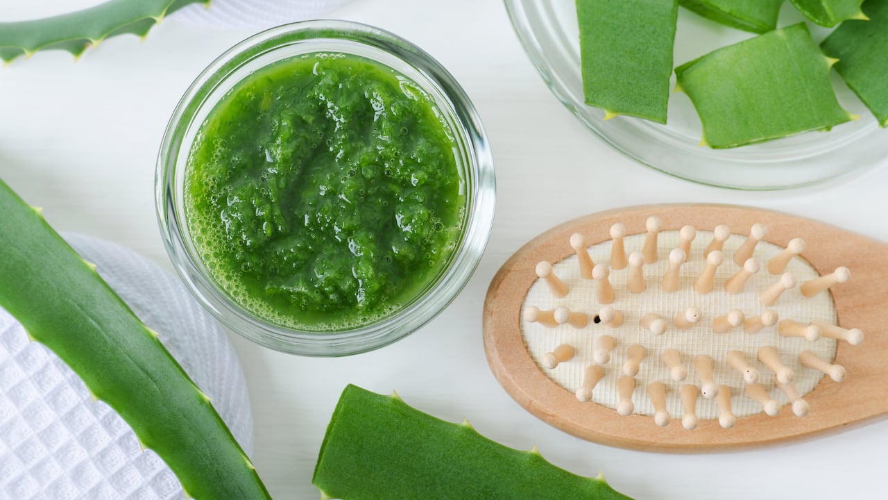 La sábila o aloe vera tiene nutrientes que favorecen la salud del cabello.