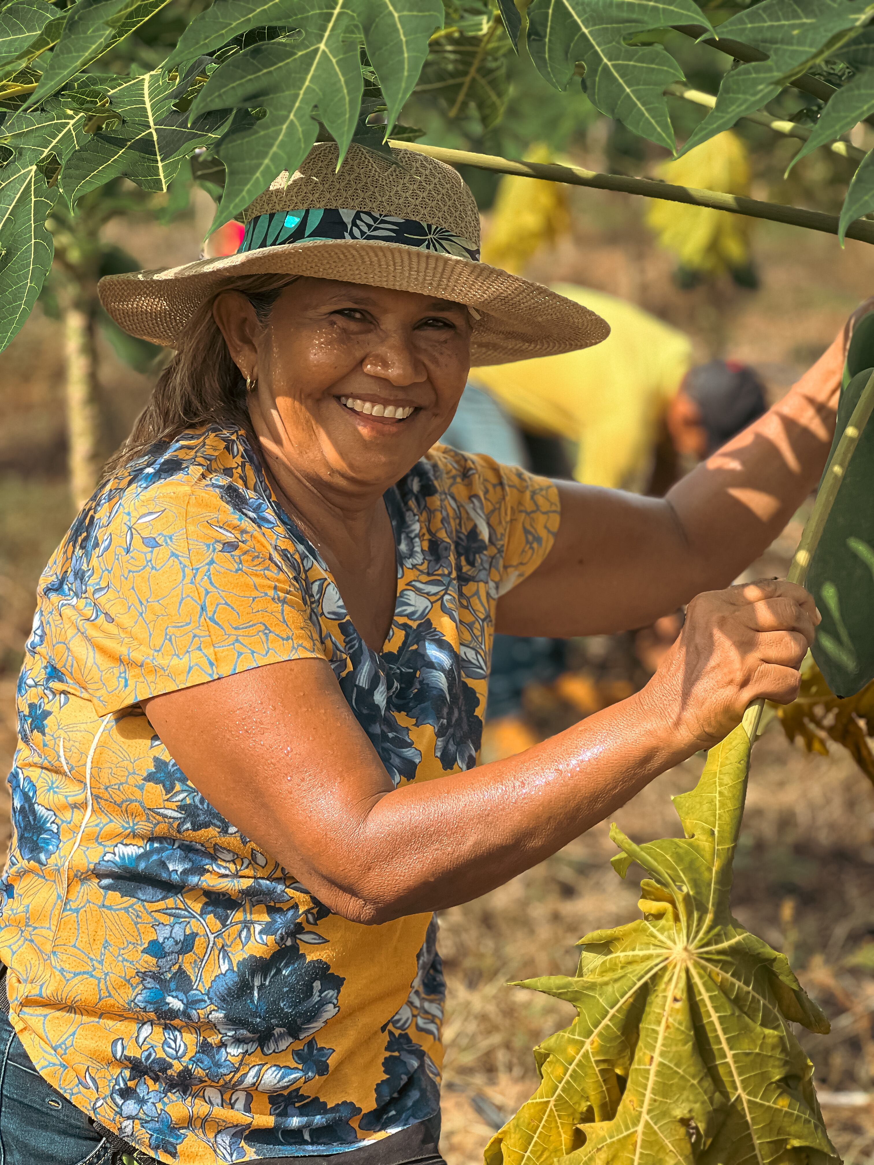 Los proyectos productivos han sido otra de las estrategias de Cerro Matoso para apoyar a las comunidades en las que tiene presencia.