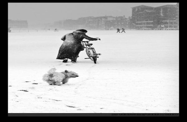 Fred y Sue, captados por Jo Teasdale en Brighton se adjudicó la categoría ‘Viviendo la historia’. Las fotos ganadoras serán exhibidas en la estación de Waterloo en Londres, desde el 1 de diciembre. 