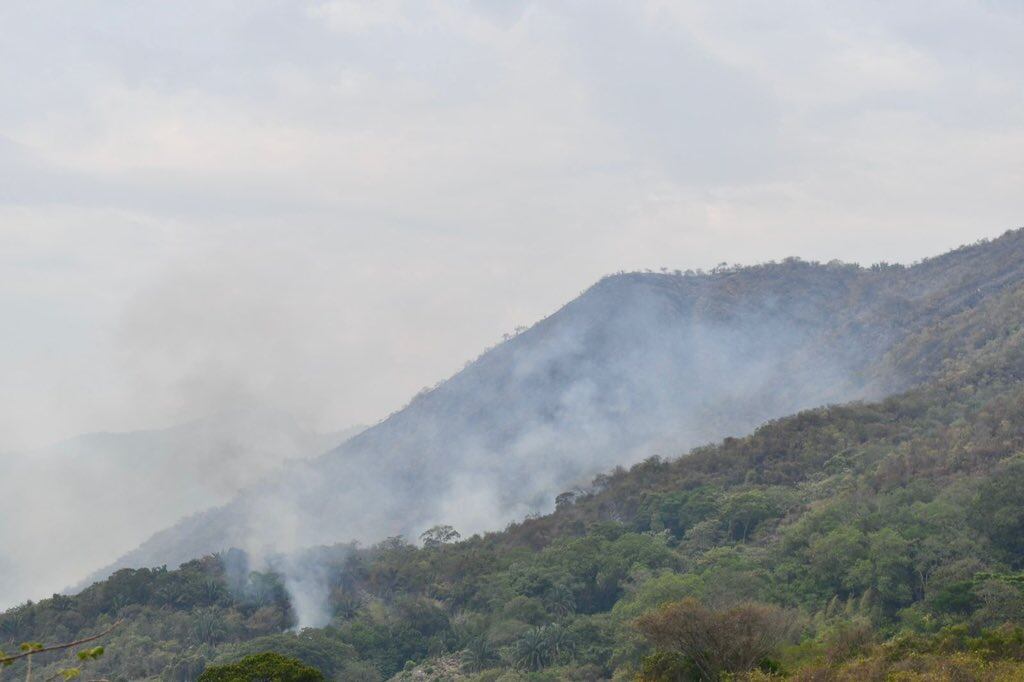 Incendios forestales