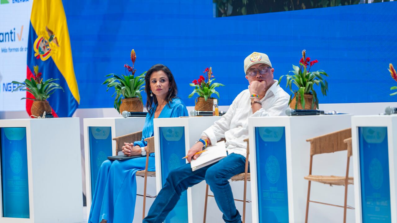 Luz Stella Murgas, presidenta de Naturgas, hizo dura alerta al Gobierno de Gustavo Petro.