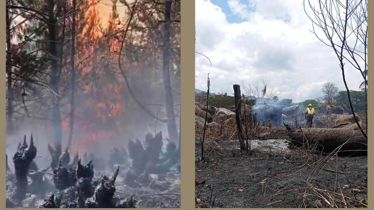 Organismos de emergencia trabajan en el control de los incendios forestales que permanecen activos en distintos municipios de Cundinamarca.