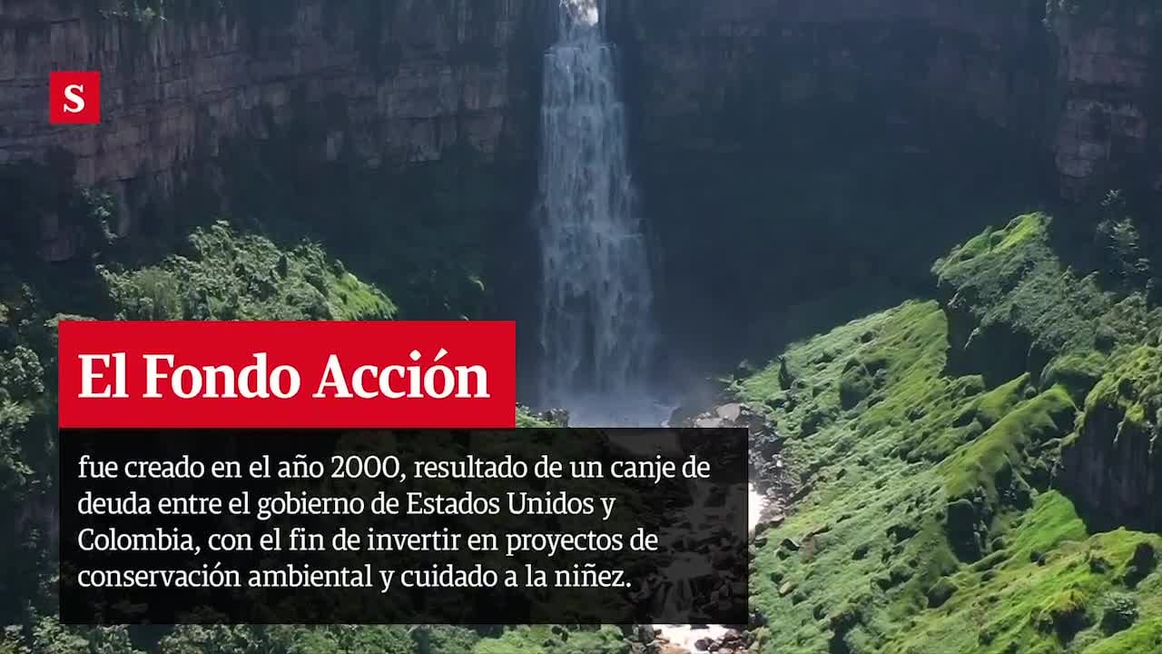 Fondo Acción: un aliado de la conservación y niñez de Colombia
