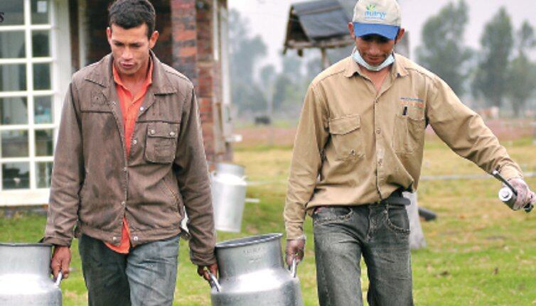 Lecheros del país piden intervención del Gobierno.