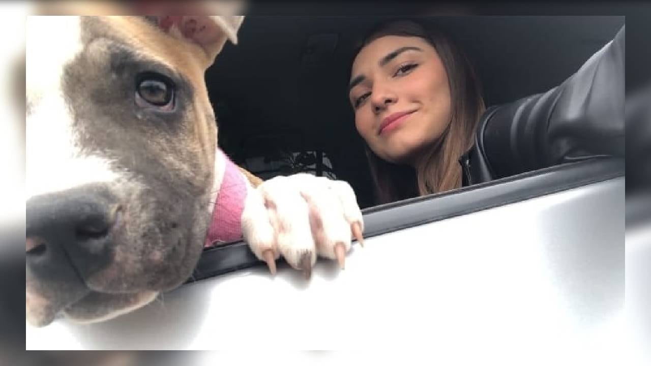 Según la mamá de la joven, la perrita murió de 'pena moral' por el deceso de su dueña.