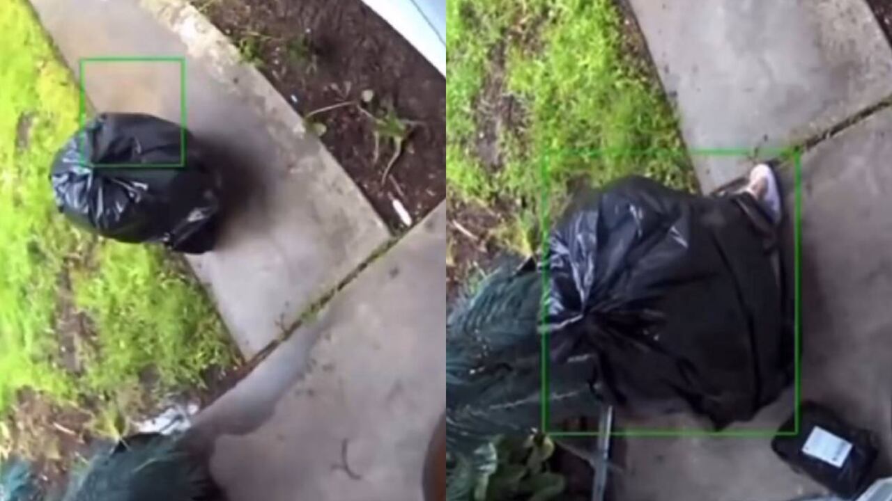 El ladrón fue descubierto por las cámaras de seguridad de la casa.