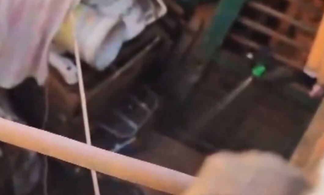 El sujeto bañaba a la adulta mayor con una manguera.