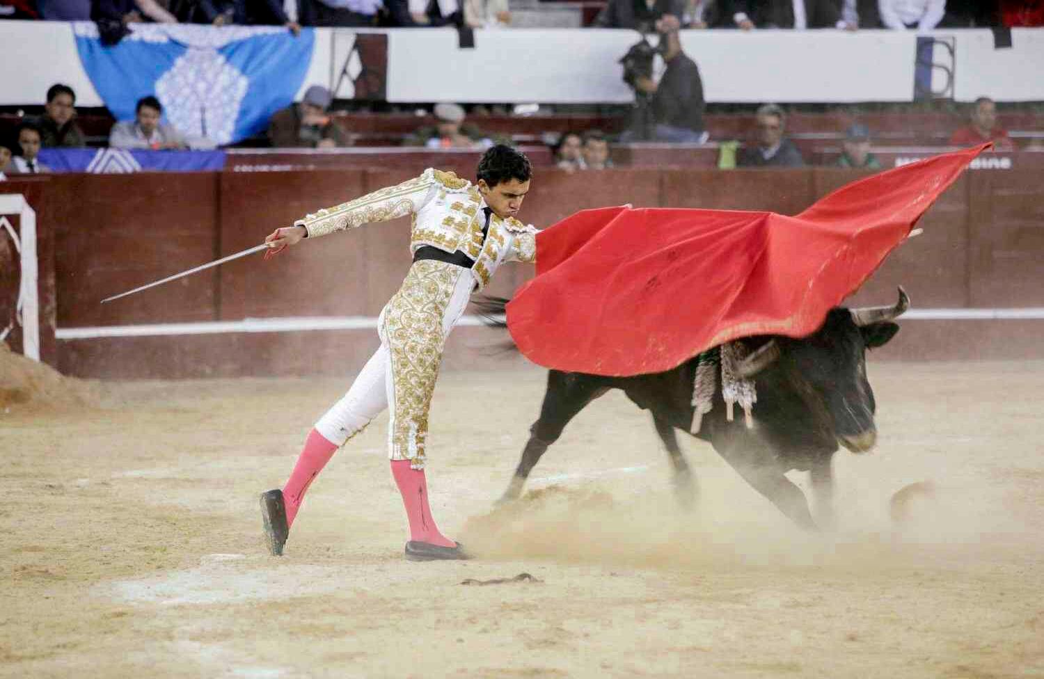 Foto: Diana Rey Melo