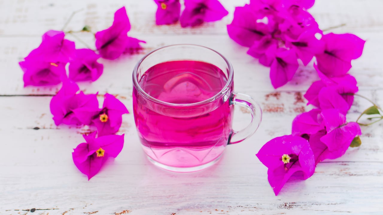 té de bugambilia