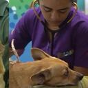 Doki fue atendido y no tiene lesiones físicas de gravedad.