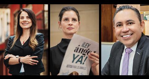 De izquierda a derecha, las senadoras Esmeralda Hernández y Andrea Padilla, y el representante Germán Rozo.