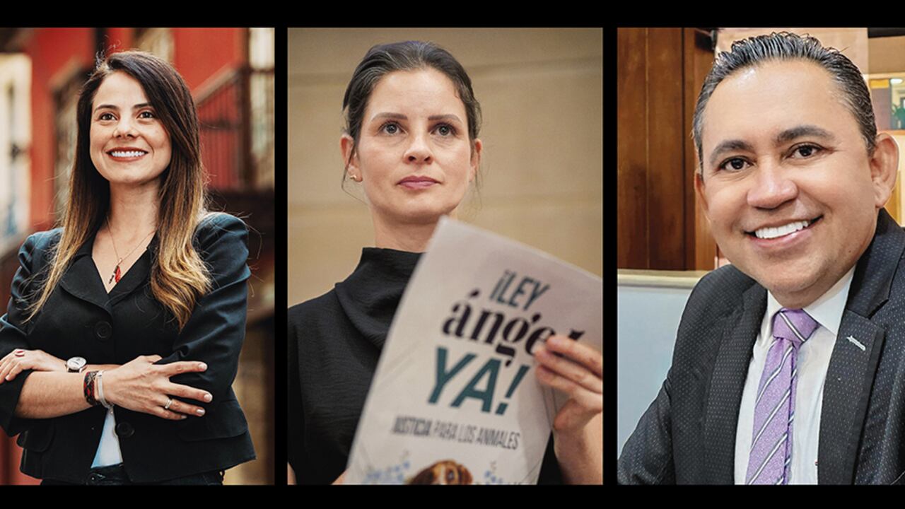 De izquierda a derecha, las senadoras Esmeralda Hernández y Andrea Padilla, y el representante Germán Rozo.