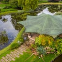 El Jardín Botánico de Bogotá también cuenta con cuerpos de agua que componen la red de conservación y refugio de flora y fauna del Parque metropolitano Simón Bolívar, una zona catalogada como el pulmón de la ciudad. Desde este fin de semana, los visitantes podrán recorrer el Jardín en horarios ampliados y sin reserva previa para disfrutar de su agenda educativa, académica, ecológica y cultural. Foto: Jardín Botánico de Bogotá