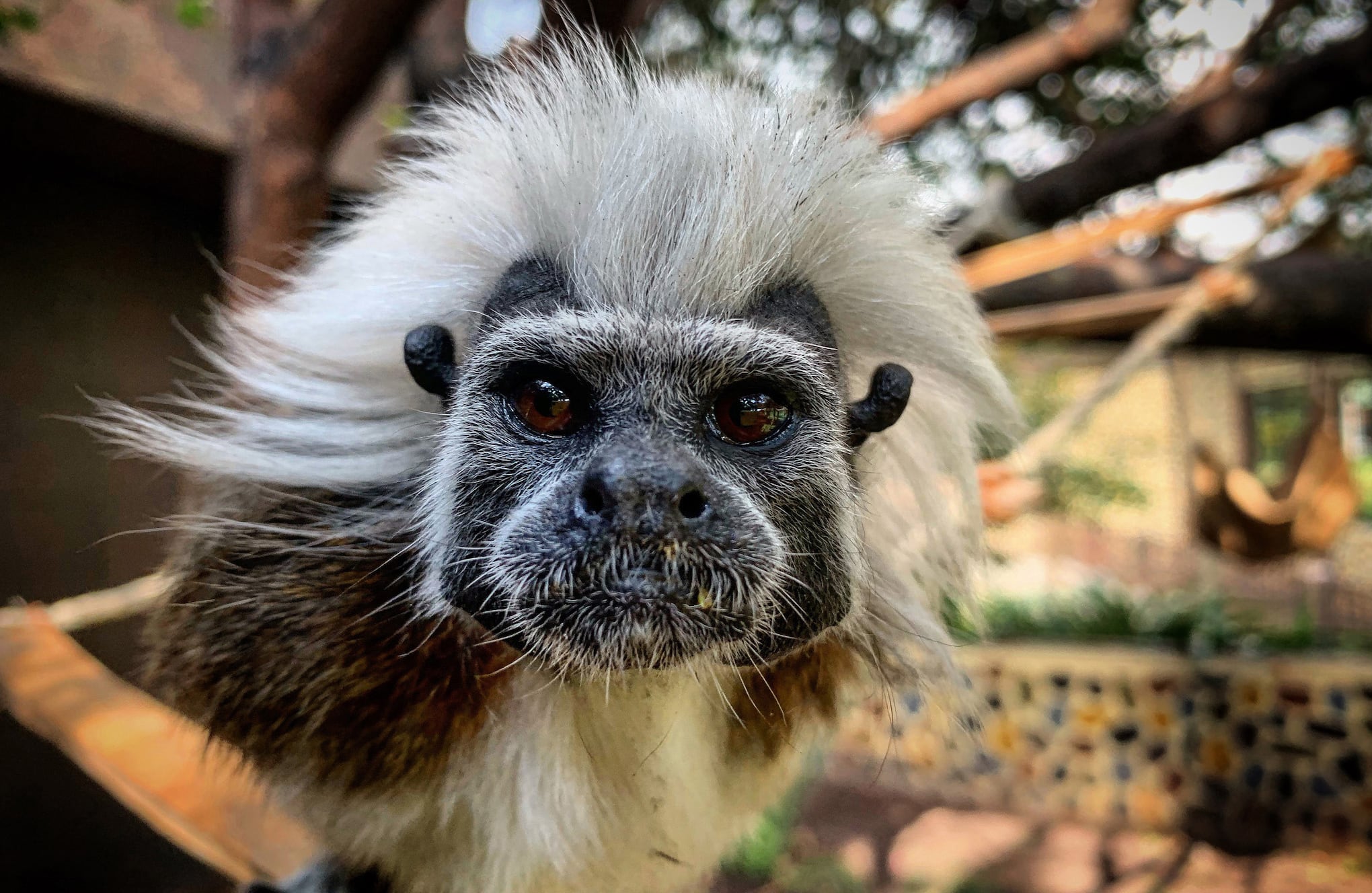 Bioparque Wakata / parque Jaime Duque