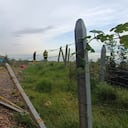 Auto se lanzó por el Salto del Tequendama