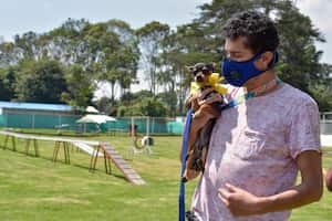 La Cruz Roja se unió a varias instituciones y empresas para apoyar el rescate de perritos de la calle y hacer jornadas de adopción.