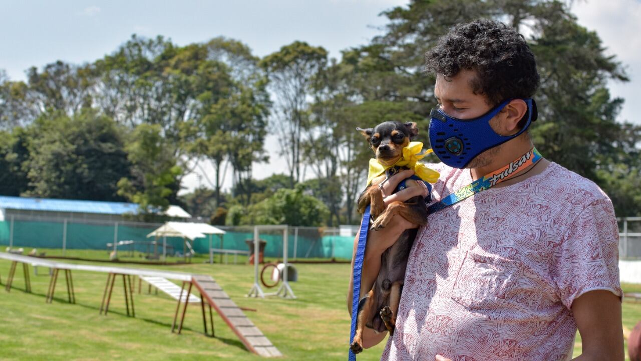 Adopción de perros