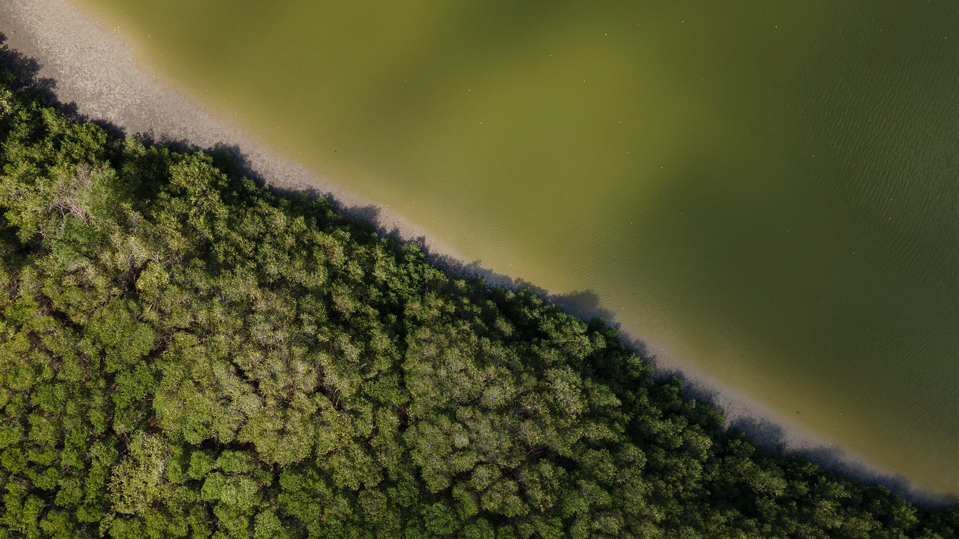 El plan de acción de Minambiente busca además lograr entre los colombianos la apropiación de la naturaleza y la educación ambiental.