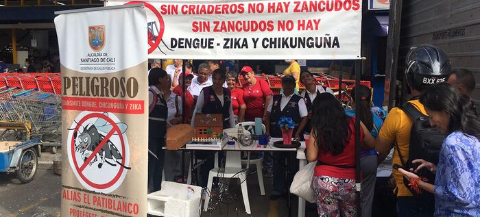 Casos de infección y muerte por dengue en Cali  redujeron este 2022.