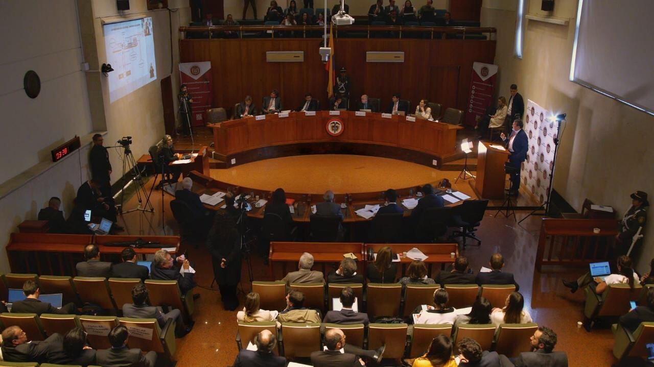 Corte Constitucional.