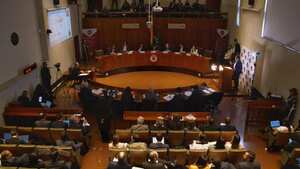 Corte Constitucional.