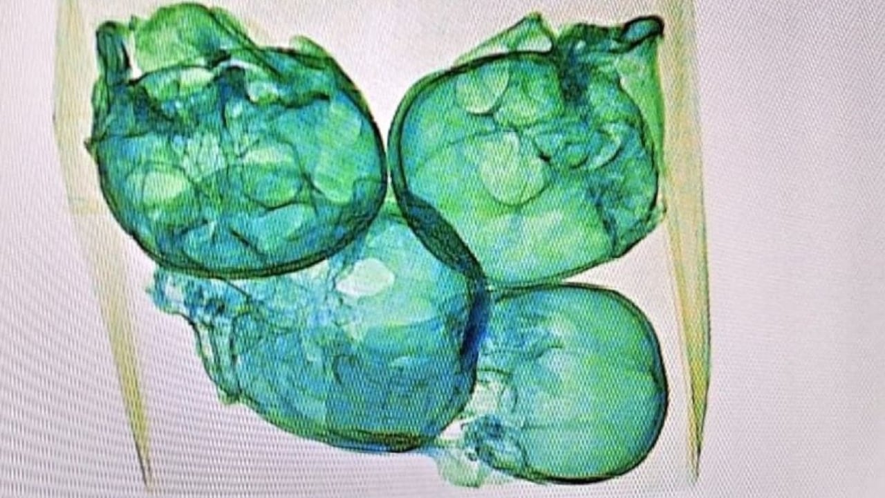 Estos chequeos protocolarios se realizan para lograr impedir el envío de armas, drogas y demás objetos relacionados con la delincuencia.